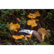 Brusletto - Vedalen Svampkniv