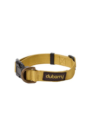Dubarry Apollo Gold - Hundhalsband Nylon