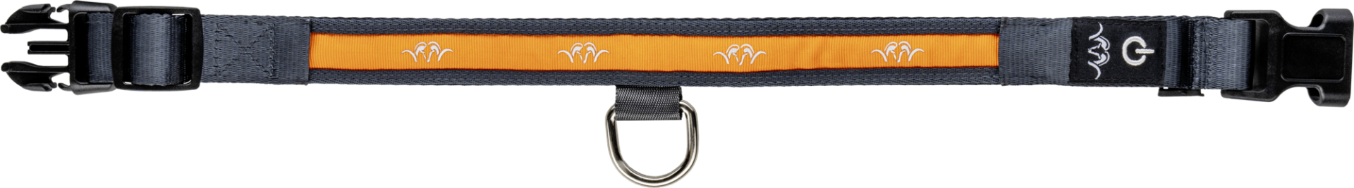 Blaser LED-hundhalsband Orange