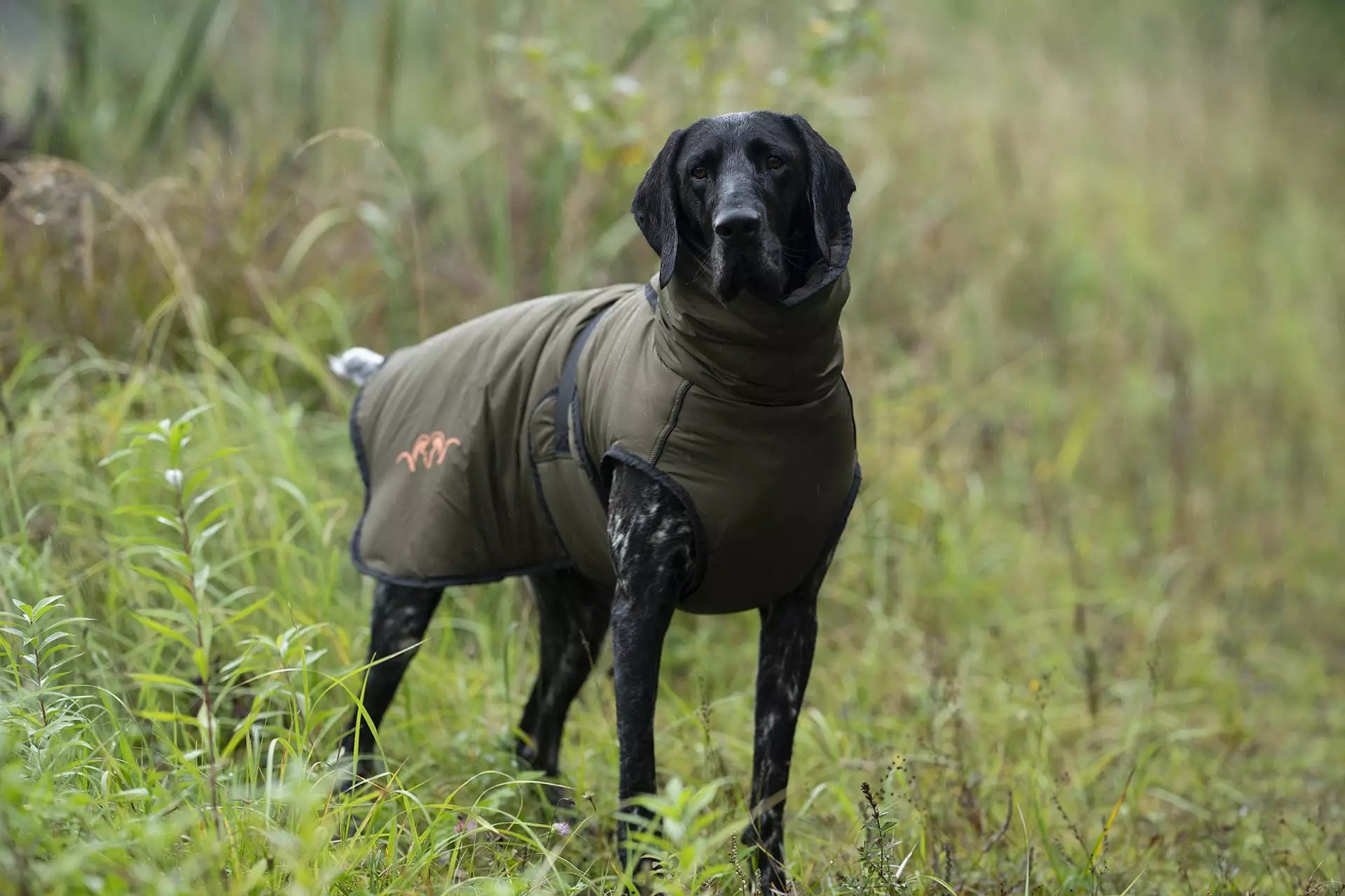 Blaser Dog Poncho - Dunkel Oliv Hundtäcke