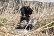Blaser Dog Poncho - HunTec Camo Hundtäcke