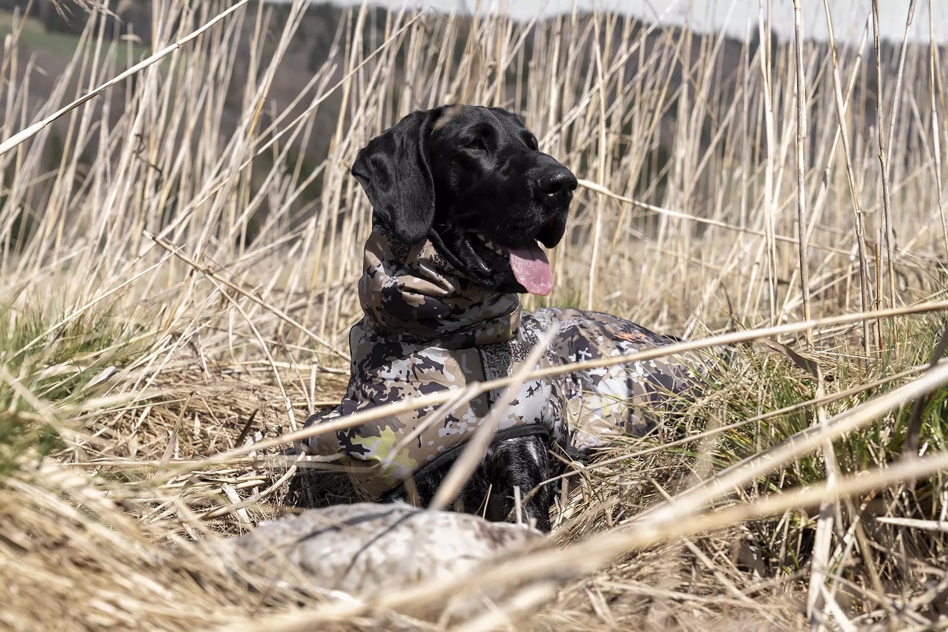 Blaser Dog Poncho - HunTec Camo Hundtäcke