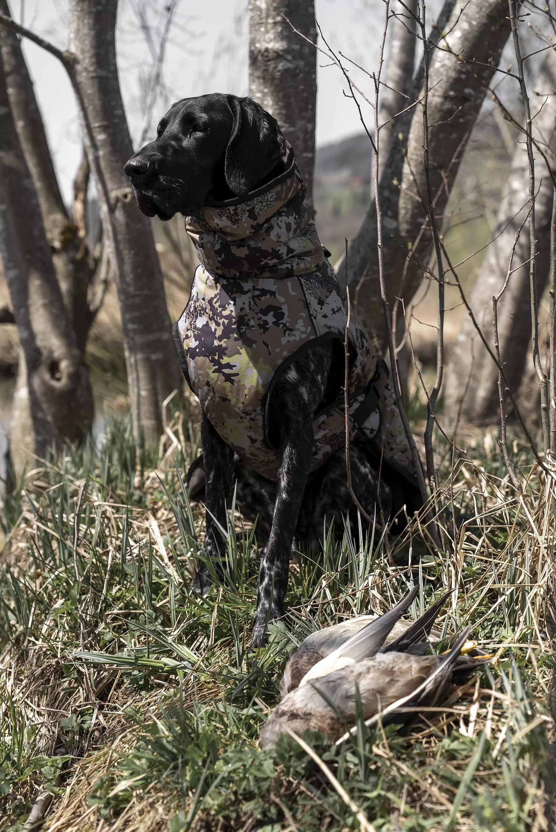 Blaser Dog Poncho - HunTec Camo Hundtäcke