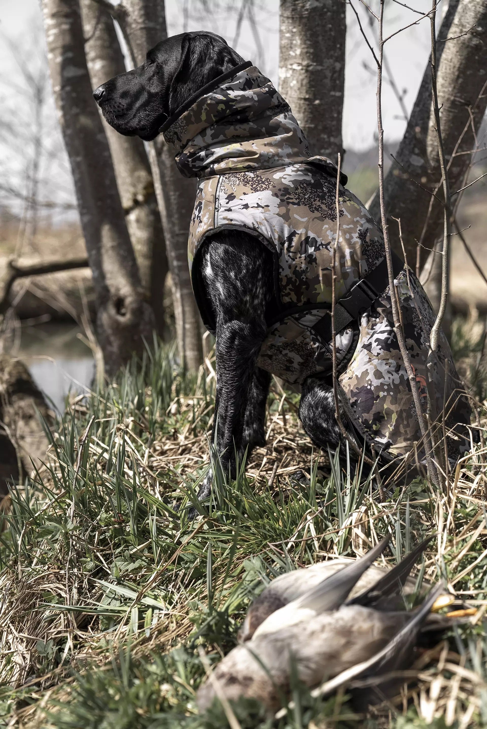 Blaser Dog Poncho - HunTec Camo Hundtäcke
