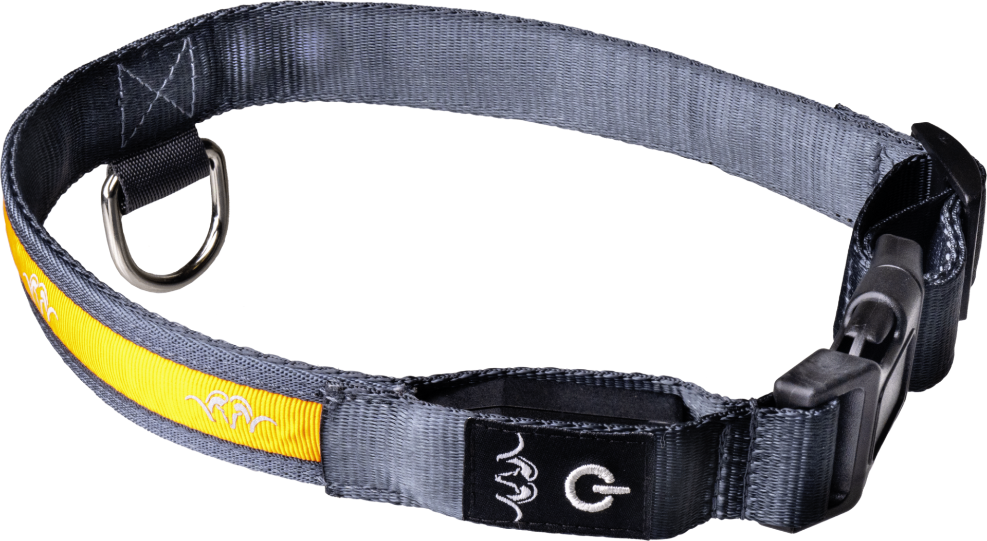 Blaser LED-hundhalsband Orange