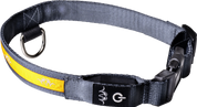 Blaser LED-hundhalsband Orange