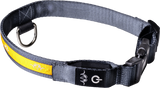 Blaser LED-hundhalsband Orange