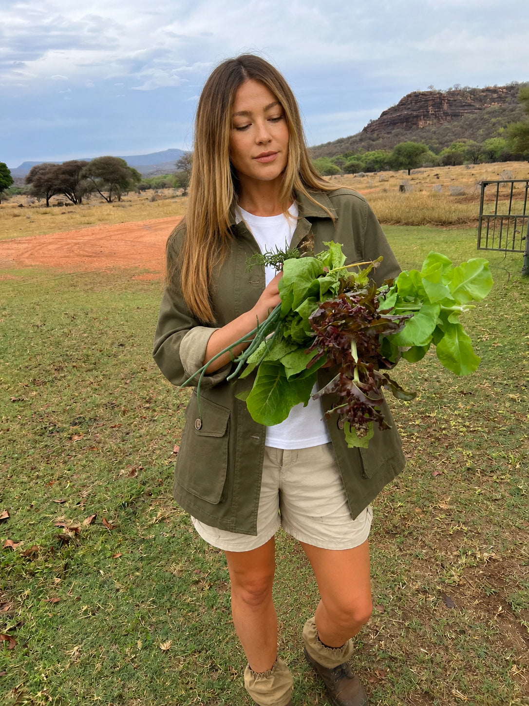 Dubarry Hudson Kelp - Chino Field Jacket Dam 