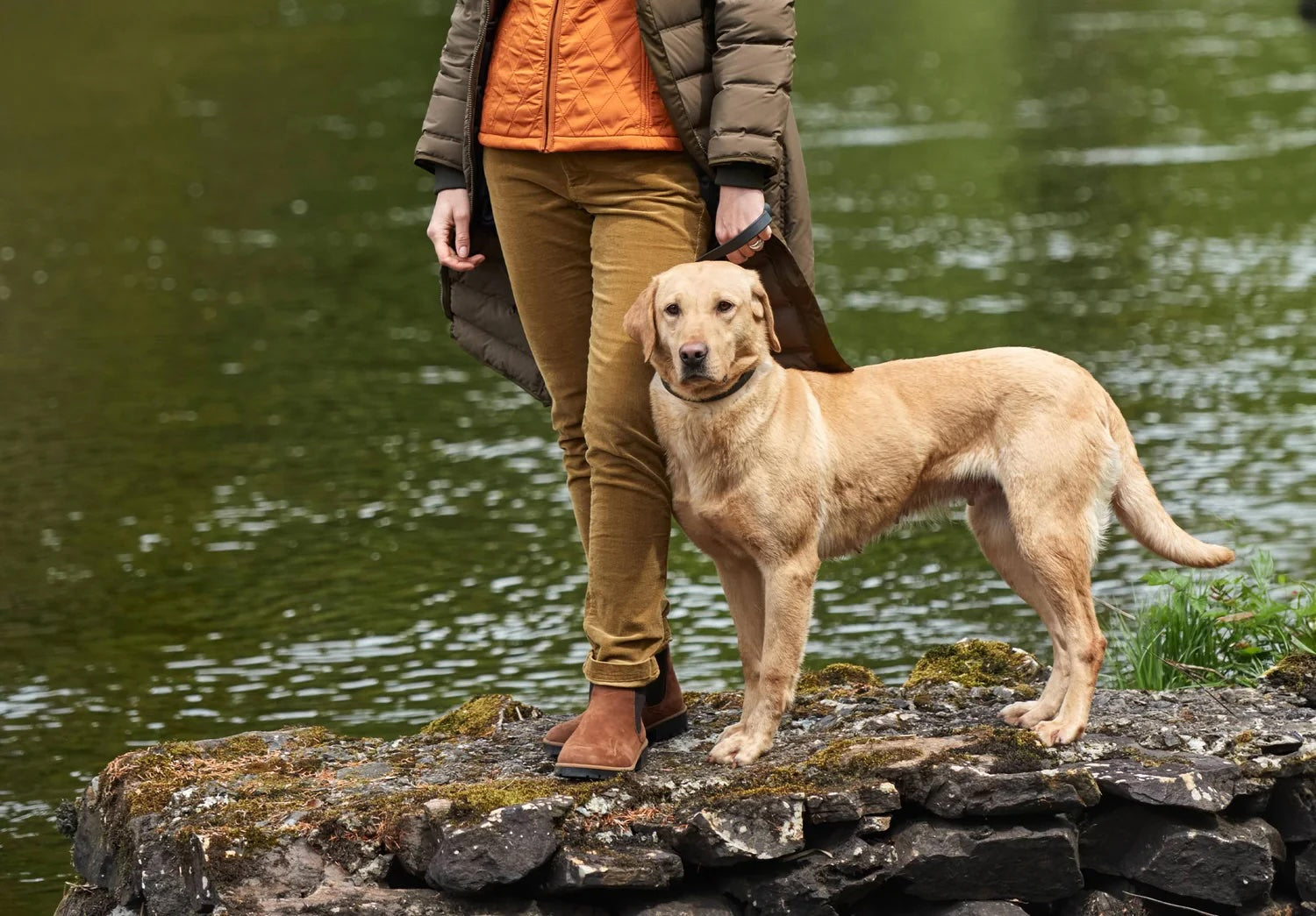 Dubarry Honeysuckle Jeans - Harvest Gold