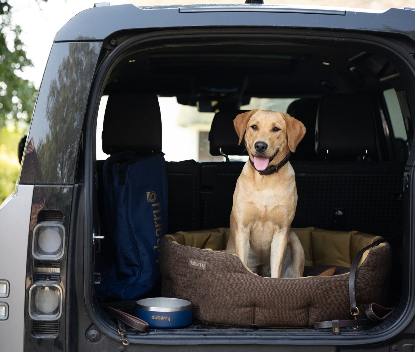 Dubarry Ranger Mahogany - Hundkoppel Läder