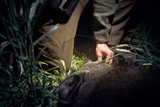 Häkila Wildboar Pro Move - Byxor