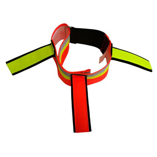 Jakthalsband Hund - Orange med Reflex
