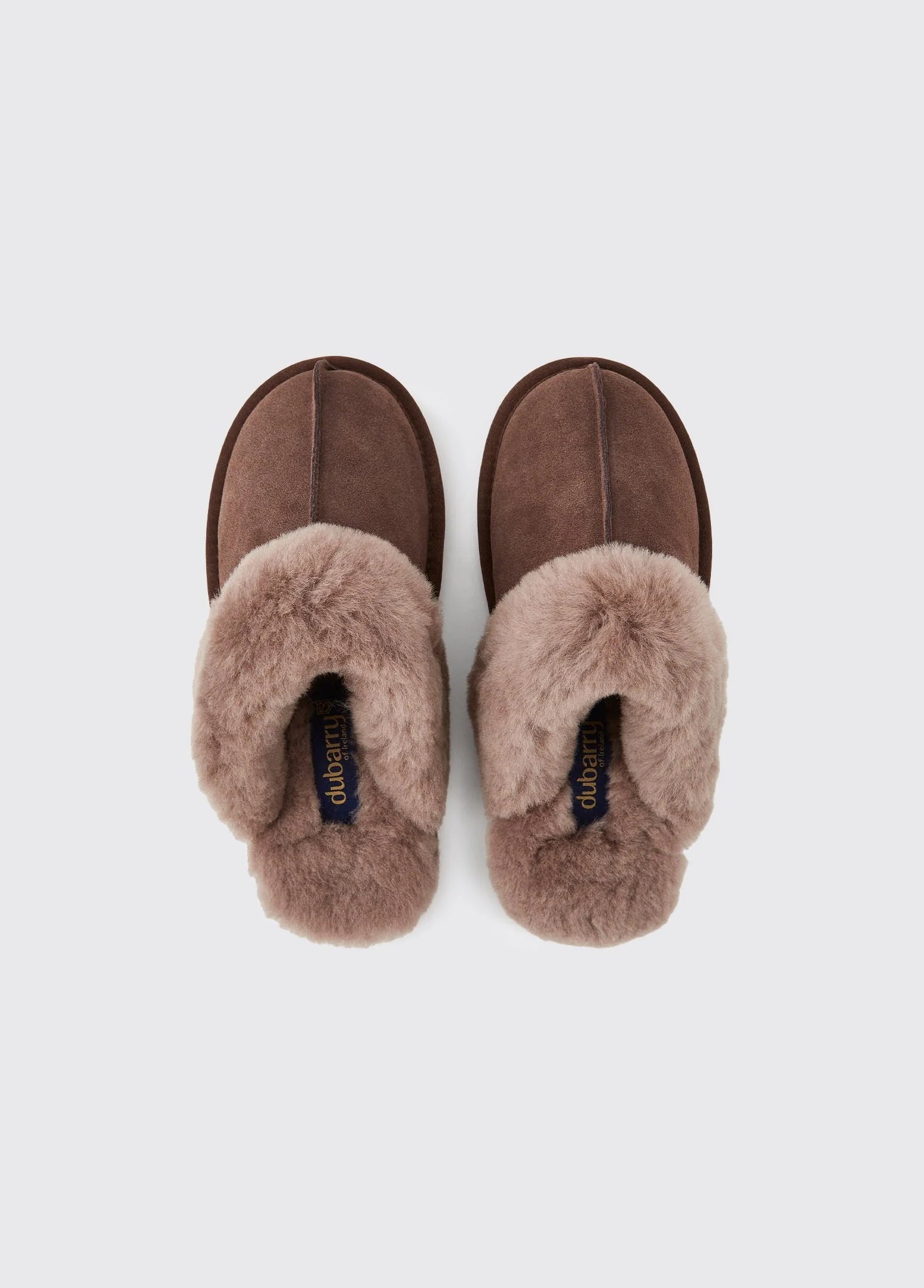 Rockmill Mules Tofflor - Cigar
