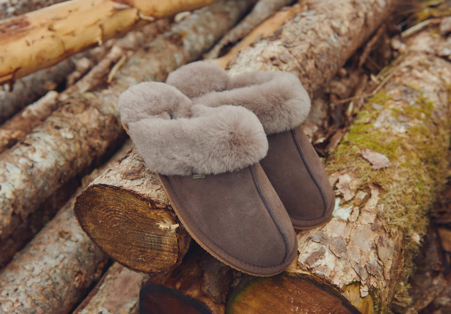 Rockmill Mules Tofflor - Cigar