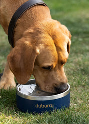 Dubarry Archie - Hundskål