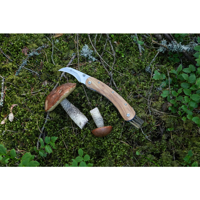 Brusletto - Vedalen Svampkniv