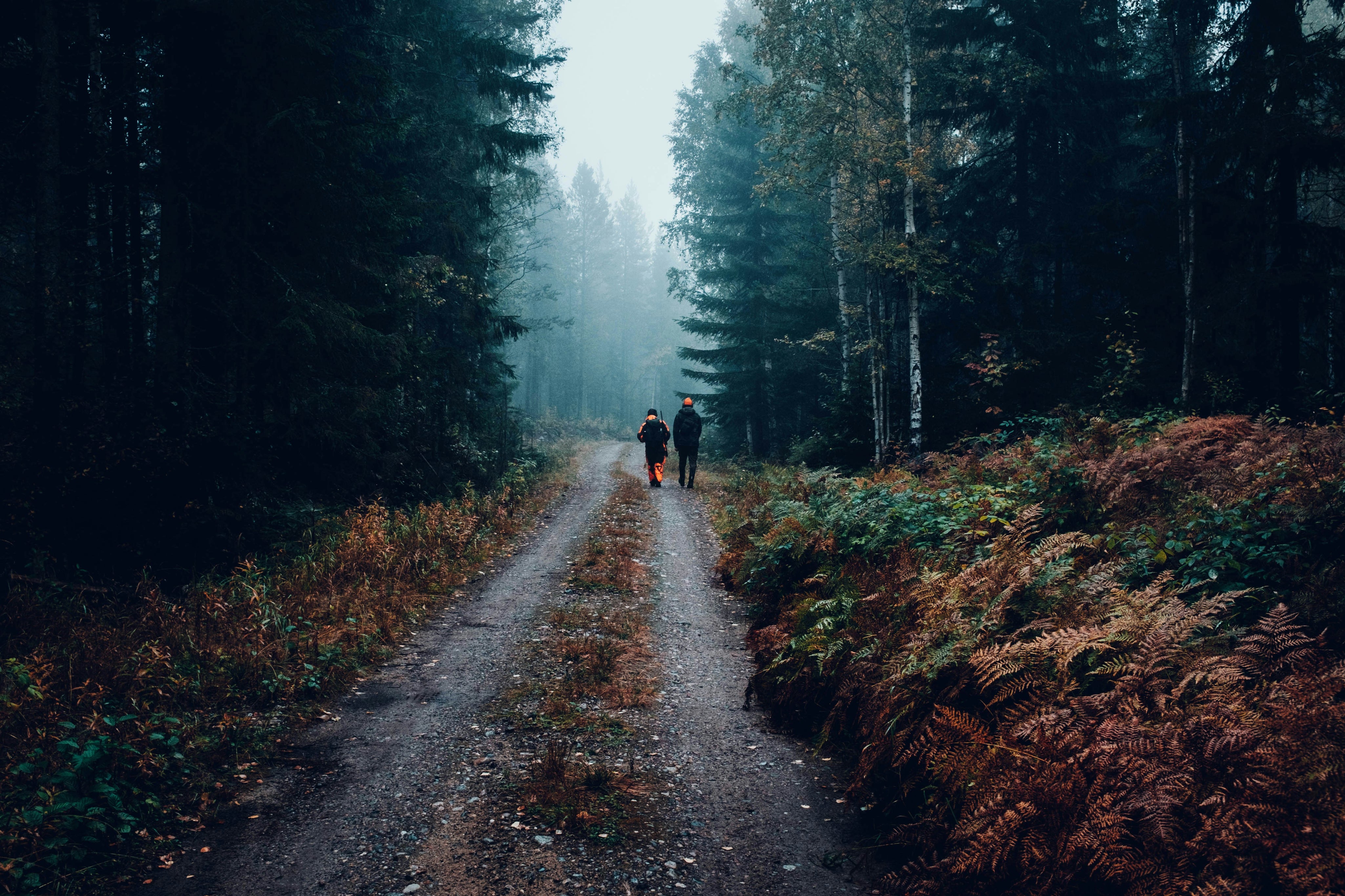 fredrik-ohlander-MU2pWu95UqA-unsplash_1.jpg