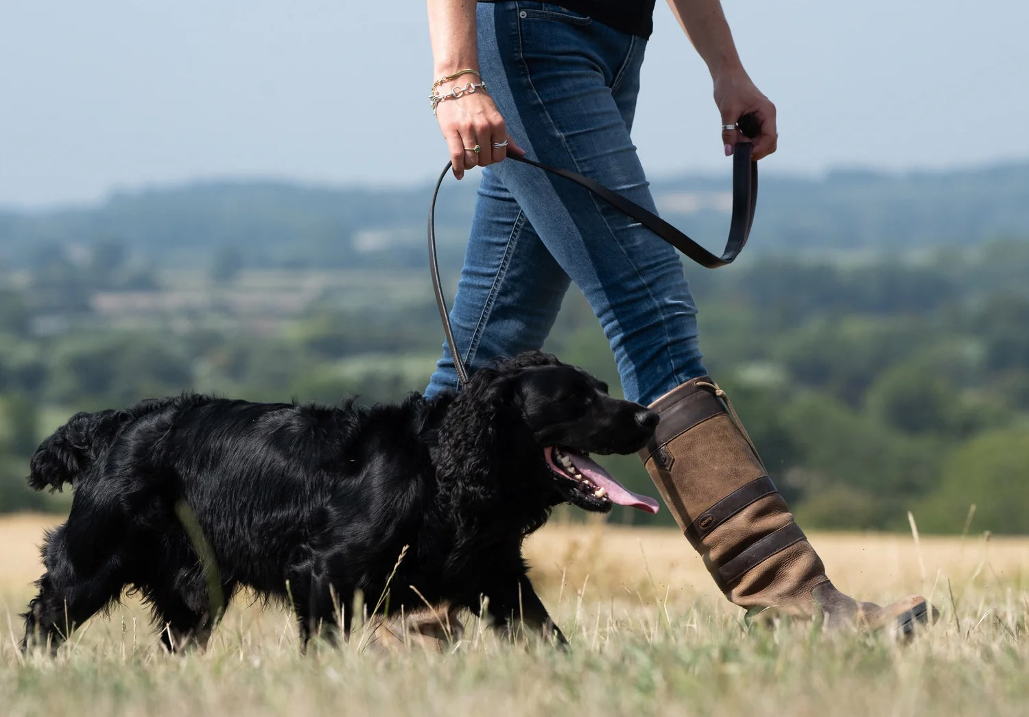 Dubarry Ranger Mahogany - Hundkoppel Läder