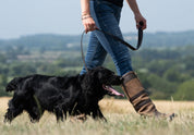 Dubarry Ranger Mahogany - Hundkoppel Läder