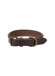 Dubarry Axel Mahogany Hundhalsband - Vadderat Läder
