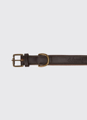 Dubarry Axel Mahogany Hundhalsband - Vadderat Läder