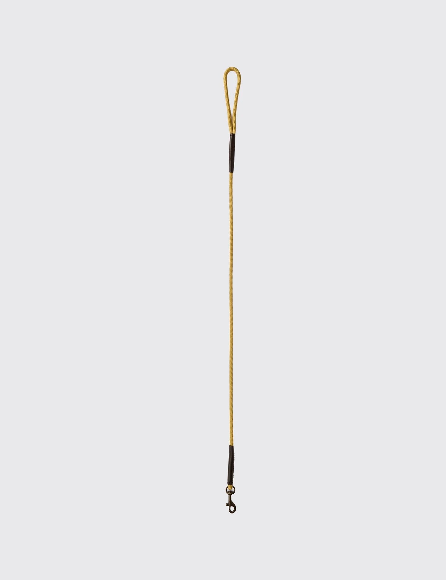 Dubarry Charlie Gold - Hundkoppel Nylon
