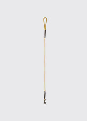 Dubarry Charlie Gold - Hundkoppel Nylon