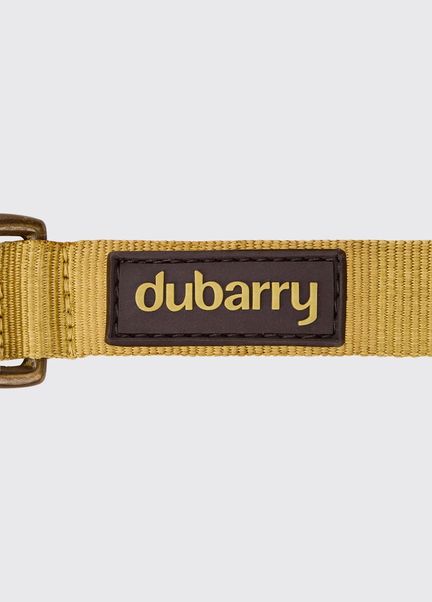 Dubarry Apollo Gold - Hundhalsband Nylon