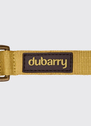 Dubarry Apollo Gold - Hundhalsband Nylon