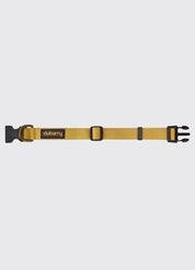 Dubarry Apollo Gold - Hundhalsband Nylon