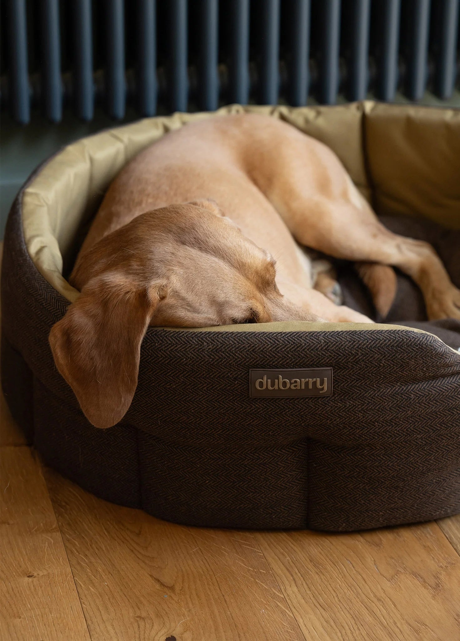 Dubarry Buster Tweed - Hundbädd