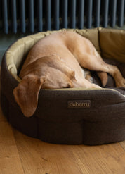 Dubarry Buster Tweed - Hundbädd