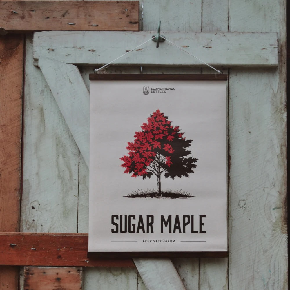 Scandinavian_Settler Canvastavla - Maple Tree 40x50cm