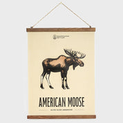 Canvastavla - American Moose 40x50cm