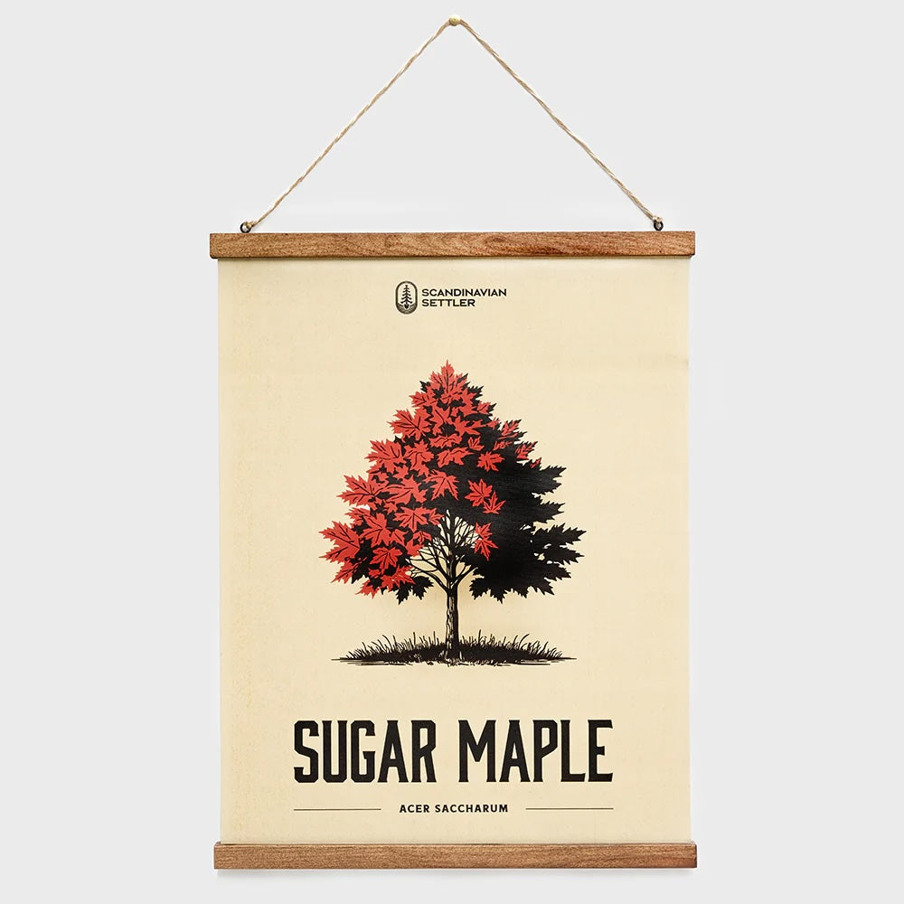 Scandinavian_Settler Canvastavla - Maple Tree 40x50cm