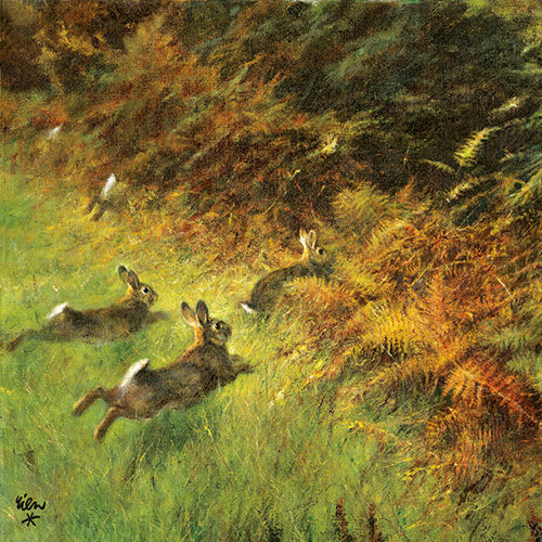 Servetter - Hare